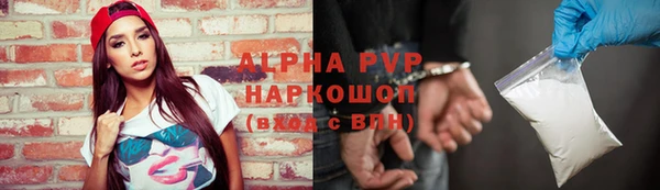 эйфоретик Богданович