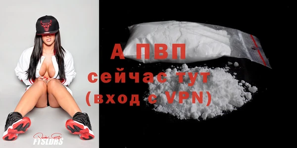 МДПВ Богородск