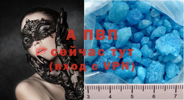 эйфоретик Богданович