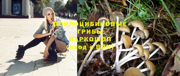 МДПВ Богородск