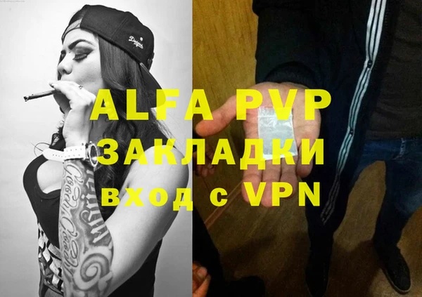 эйфоретик Богданович