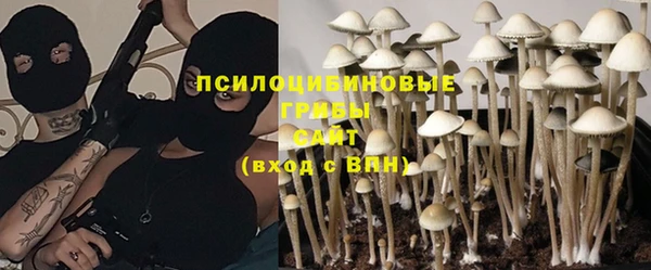 бутират Богородицк