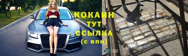эйфоретик Богданович